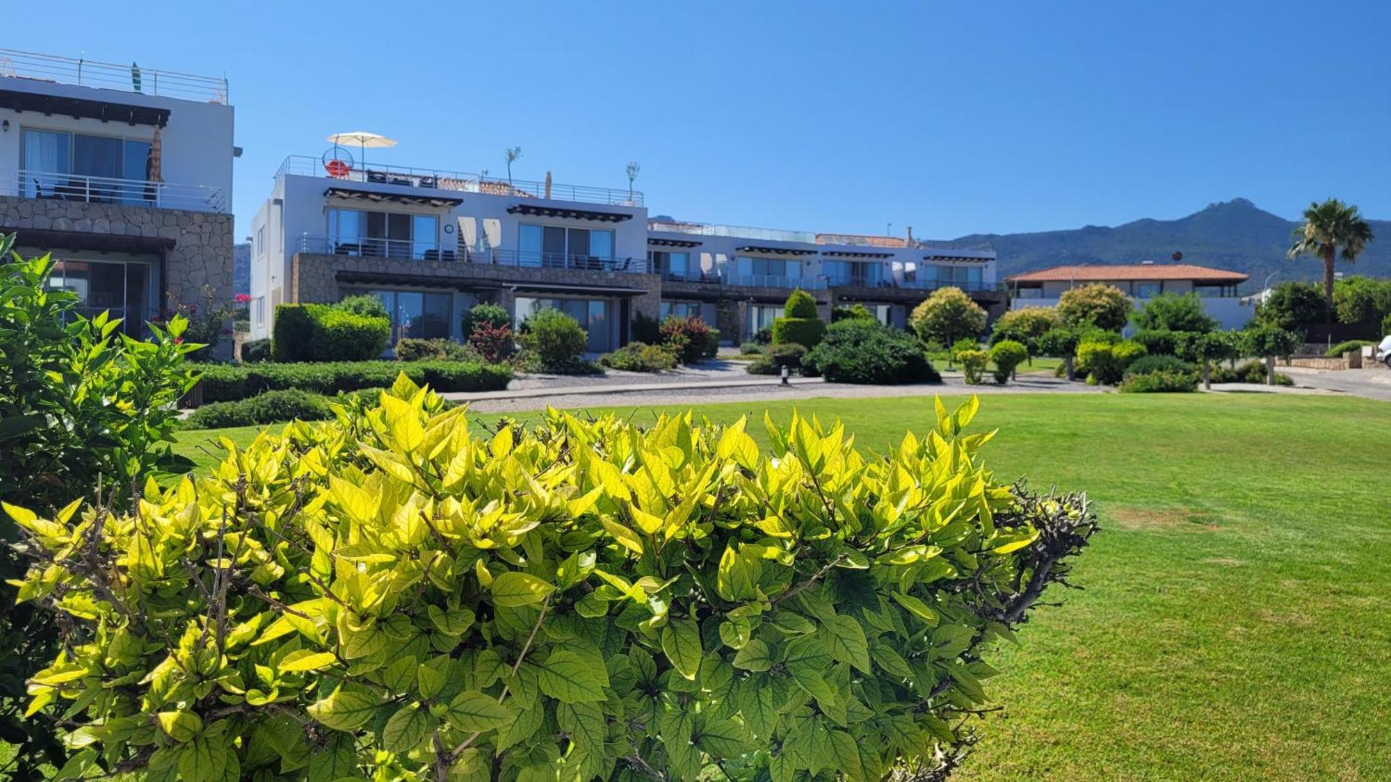 Sea And Mountain View Beachfront Penthouse Yali Exteriör bild